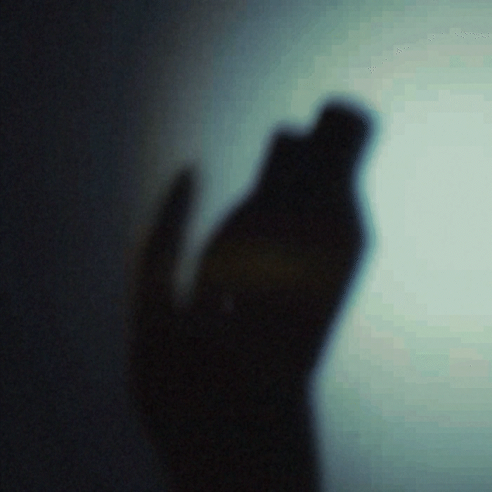 Abstract shadow of a person holding a 50ml bottle of Looking For Each Other's botanical fragrances, with the golden liquid casting a glowing flare.