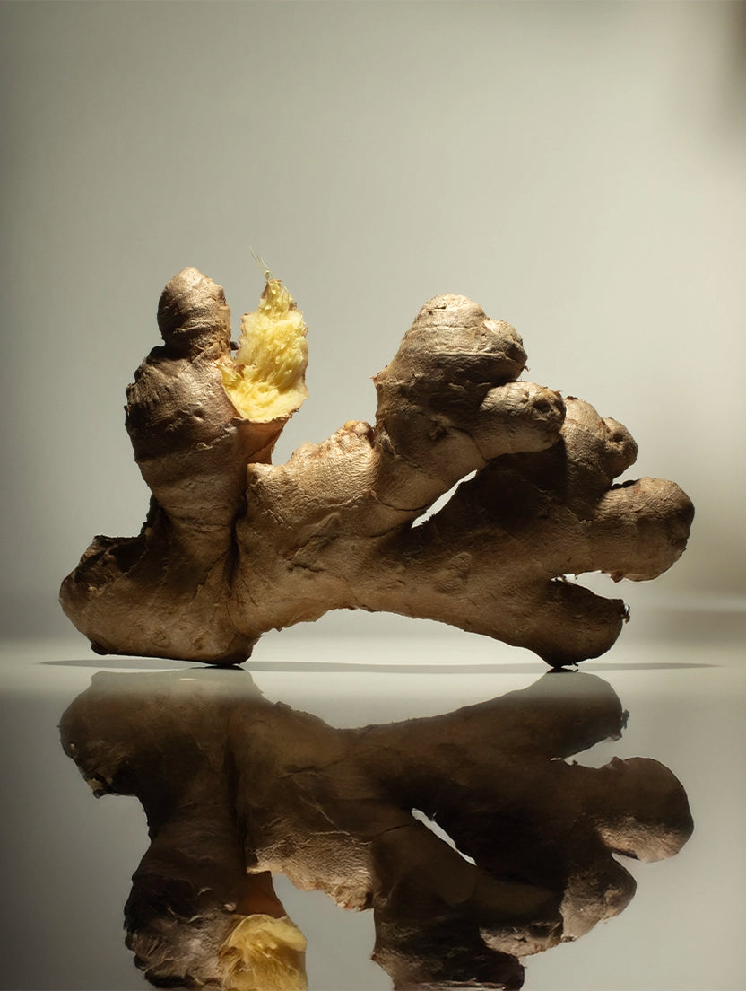 Close-up of fresh sliced ginger under soft natural light—its reflective surface and fibrous texture captured in detail. Highlights one of the botanical ingredients in Looking for Each Other’s fragrances, known for its warm, spicy clarity and plant-powered energy.