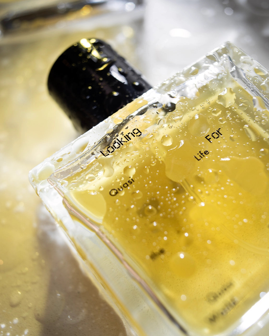 A close-up of Quasi Life in the Quasi World by Looking for Each Other, covered in dewy water droplets. The golden botanical fragrance glows inside the minimal glass bottle, reflecting the brand’s natural, genderless approach to scent made entirely without synthetics.